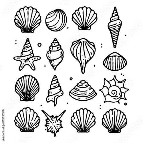 Collection Various Outline Black And White Drawing Seashells. Set Hand Drawn Doodle Snails and Shells, Starfish sketch Illustrations. Line Art Coastal Themes. Sea Elements, Marine Mollusks, Corals