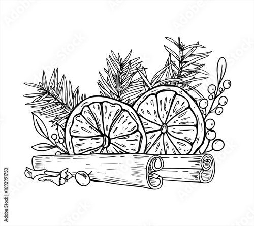 Christmas ingredients for mulled wine among spruce branches vector isolated illustration. Dried orange slices, cinnamon sticks, cloves berries and fir twig. Winter graphic sketch for drink design