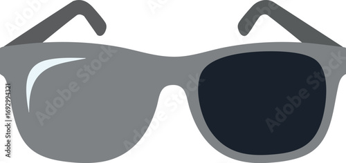 Modern Eyewear Vector Illustration Gray and Black Sunglasses Style Accessory