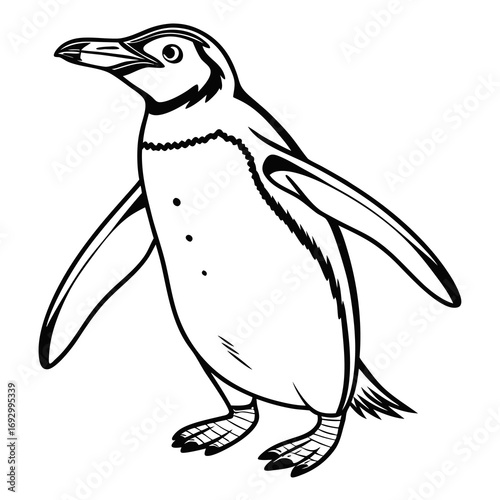 penguin vector illustration, Animal Vector art Design, Black & White Penguin Vector Design illustrations, Vector art Penguin