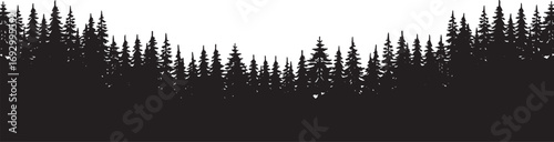 Silhouette of a dense forest of pine trees on a white background evergreen