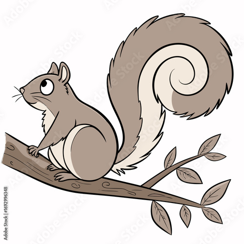 squirrel on a branch, Vector art illustrations, Colorful squirrel, Vector art design, clamp up vector squirrel