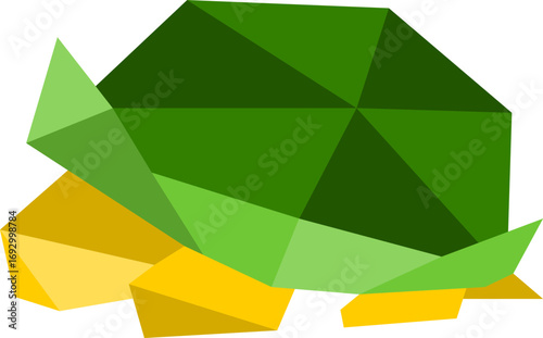 lowpoly tortoise vector image