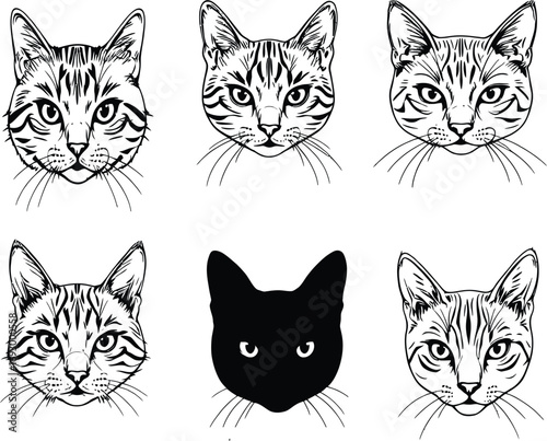 (1)Cat Face Illustration Set – Black and White Vector Drawings and Silhouettes of Expressive Feline Portraits and Fur Patterns