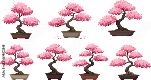 Beautiful cherry blossom bonsai tree collection, pink flowers, nature art, elegant decor