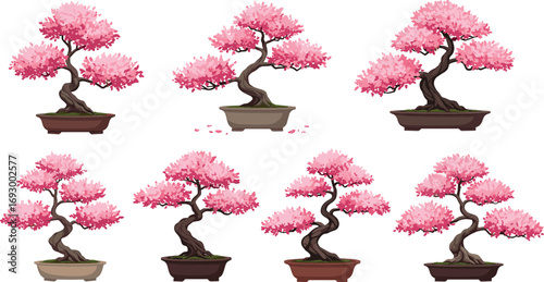 Beautiful cherry blossom bonsai tree collection, pink flowers