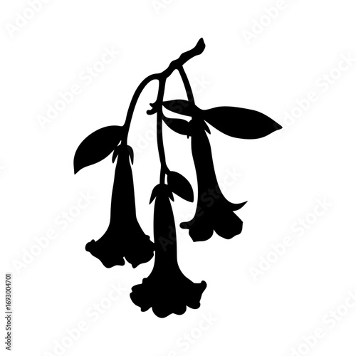 Download beautiful angel's trumpet flower silhouette vector art for graphic design projects and crafts