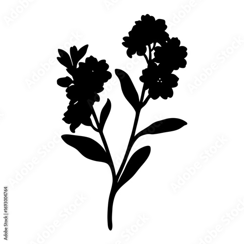 Black silhouette of forget me not flowers vector illustration floral design element isolated art