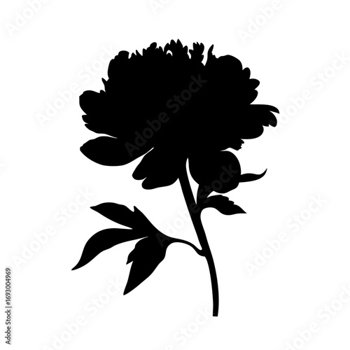 Download elegant peony flower silhouette vector art for floral design projects and decoration needs