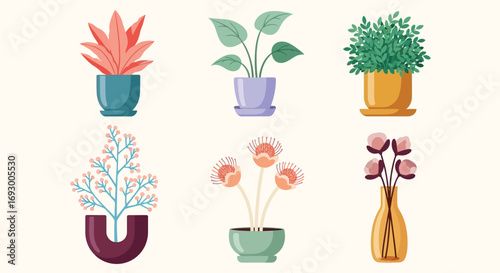 Collection of stylish potted houseplants in modern ceramic and glass containers