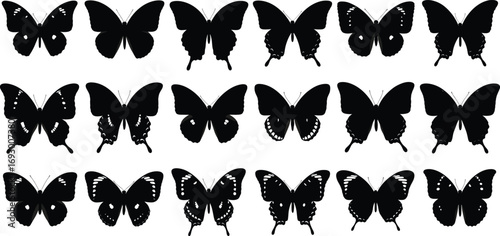 Butterfly silhouette illustration set with diverse wing shapes for entomology, nature design, and black-and-white vector artwork