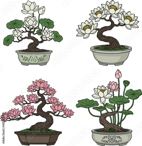 Beautiful Lotus Bonsai Trees in Ceramic Pots with Pink and White Blossoms, Elegant Nature Illustration, Tranquil Garden Design, Artistic Floral Arrangement