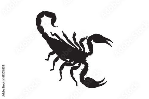 Detailed black silhouette of a scorpion with its tail raised in a threatening pose on a white background