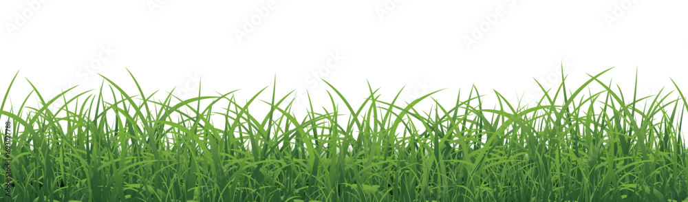 Obraz premium Green Grass Border With White Background