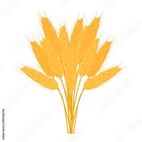 Harvest of golden ripened ears of wheat in composition