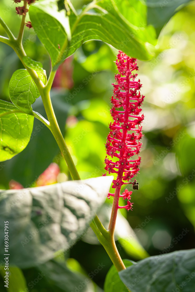 Obraz premium Generated image