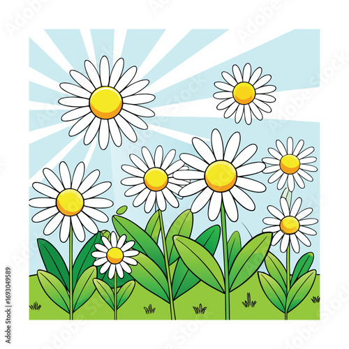 Bright sunny daisy field with gentle sun rays on a clean white background