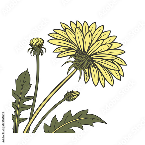 Detailed bright yellow sunflower with intricate petals floral design