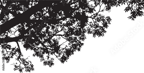 Silhouette of dense tree branches and leaves against on transparent background foliage