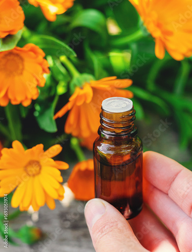 medicinal plant calendula homeopathy. Selective focus.