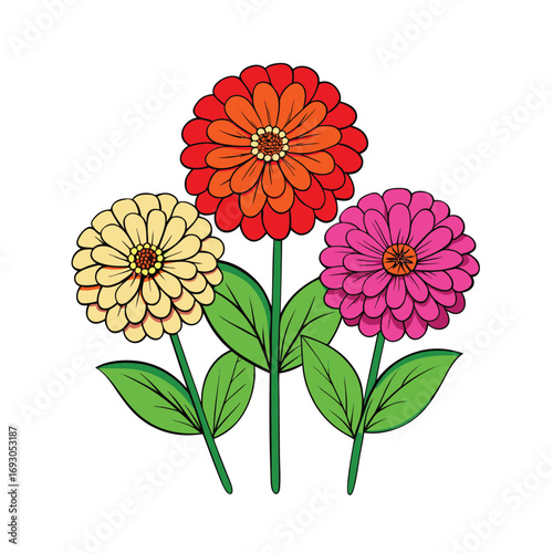 Fotografi Vibrant zinnia garden flowers with lush green leaves botanical illustration