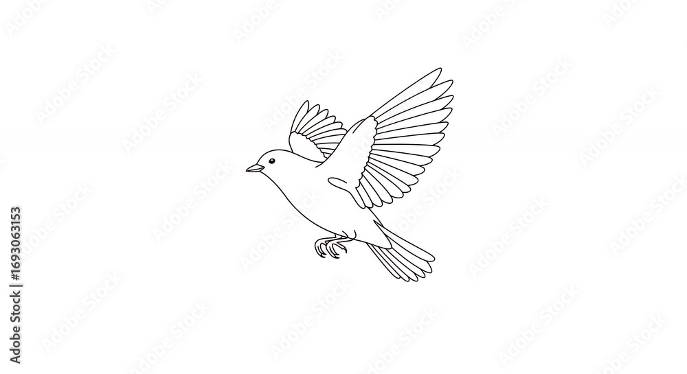 Fototapeta premium Bird in flight line art