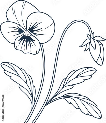 Minimalist pansy flower line art illustration with clean design elements