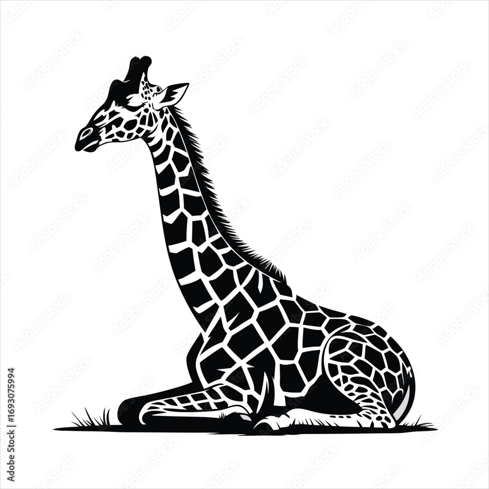 Fototapeta premium A Detailed Vector Illustration of a Giraffe Silhouette Sitting Gracefully on a Patch of Grass Showing Its Distinctive Pattern and Long Neck
