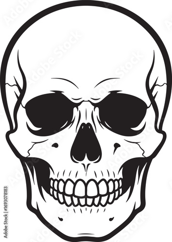 Vector illustration of a human skull black and white graphic for tattoo or design concept