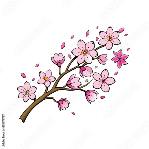 Pink cherry blossom branch with falling petals spring nature design