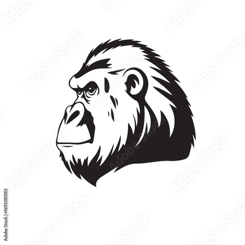Gorilla's Head Silhouette on White Background. Black and White Illustration of a Gorilla's head. 