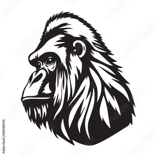 Gorilla's Head Silhouette on White Background. Black and White Illustration of a Gorilla's head. 