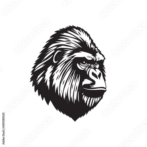 Gorilla's Head Silhouette on White Background. Black and White Illustration of a Gorilla's head. 