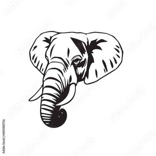 Elephant's Head on White Background. Black and White Illustration of an Elephant's Head.