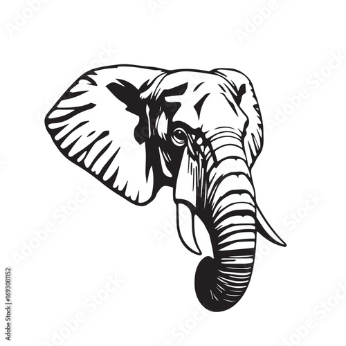 Elephant's Head on White Background. Black and White Illustration of an Elephant's Head.
