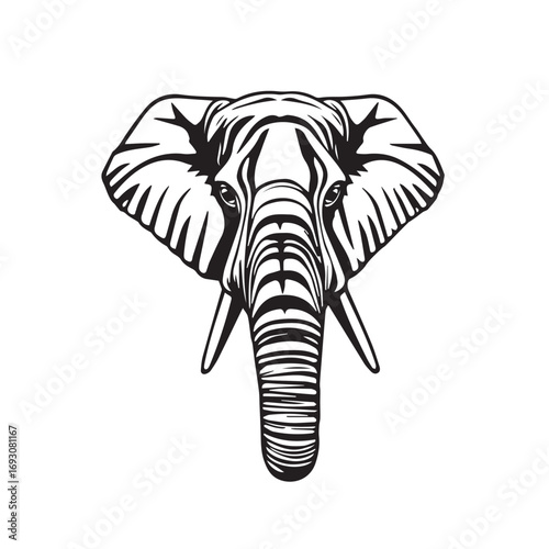 Elephant's Head on White Background. Black and White Illustration of an Elephant's Head.