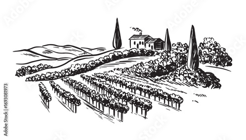 Vineyard landscape with building on the hill hand drawn.