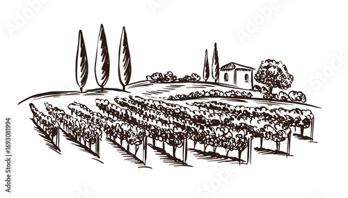 Vineyard landscape with building on the hill hand drawn.	