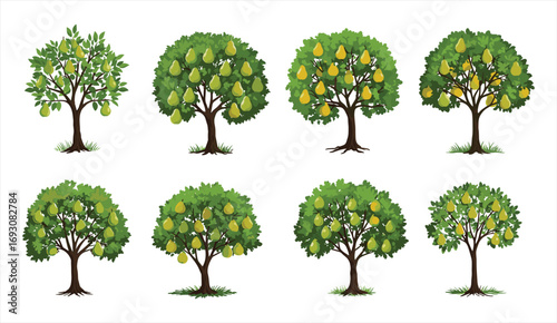Pear tree illustration set with ripe fruits, orchard design, green foliage, natural farming concept, organic agriculture collection