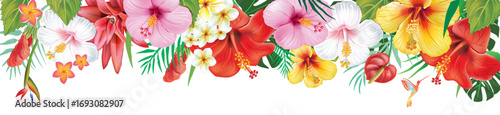 Tropical Hibiscus and Exotic Flowers Banner