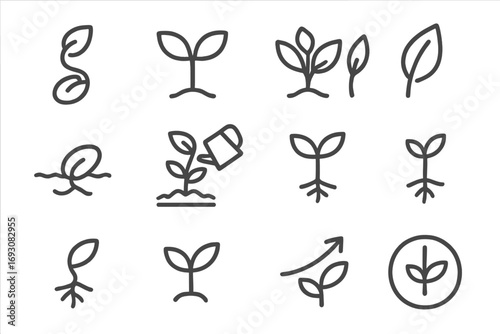 Seedling Growth Icons. Line style icons of seedlings and growth: sprouting seed, plant with two leaves, rooted sprout, leaf stages