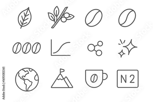 Coffee Bean Icons. Line style icons of bean varieties: Arabica leaf, Robusta branch, green bean, dark roast; light roast, medium