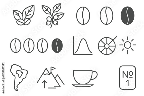 Coffee Bean Icons. Line style icons of bean varieties: Arabica leaf, Robusta branch, green bean, dark roast; light roast, medium