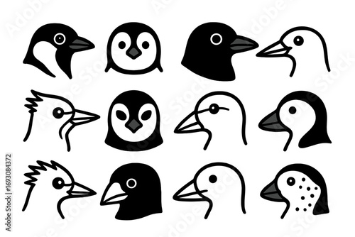 Black and White Bird Icons. Line style icons of black and white bird faces: magpie face, penguin head, crow with eyes, tern face;