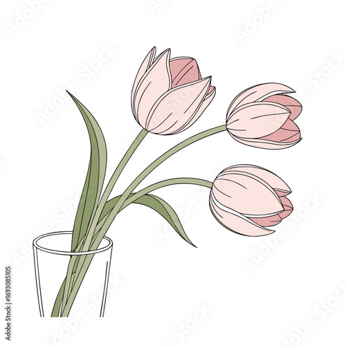 Soft pink tulip trio elegantly arranged in a clear glass vase on a clean white background