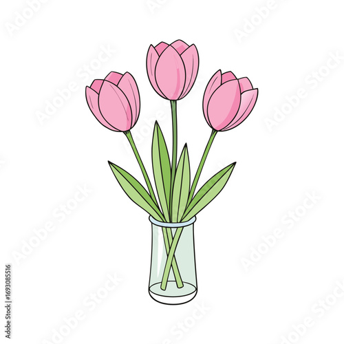 Soft pink tulip flowers in a clear glass vase on a clean white background