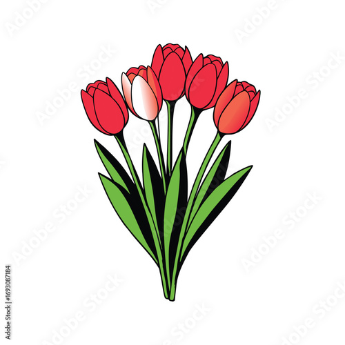 A beautiful bunch of tulips with soft shadows on a clean white background