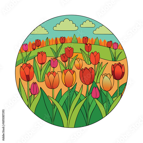 Vibrant tulip field in spring with a clean white background