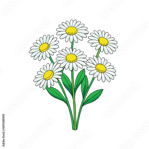 A charming bunch of white daisies with vibrant green stems on a clean white background