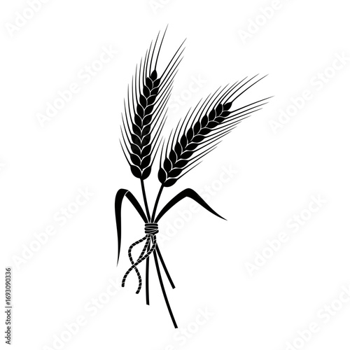 Vector art of handtied wheat sheaf a symbol of abundance, prosperity, and the agricultural heritage in a minimalist style